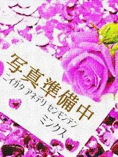 桜のプロフィール写真