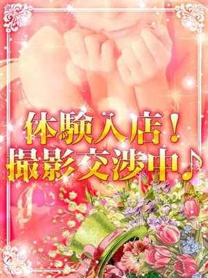 きこのプロフィール写真