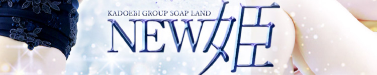 ニュー姫のヘッダーイメージ