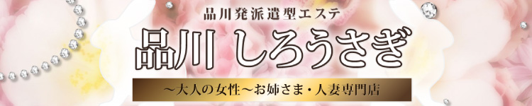 品川しろうさぎのヘッダーイメージ