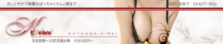 五反田キレイのヘッダーイメージ