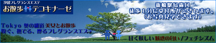 新橋テコキナーゼのヘッダーイメージ