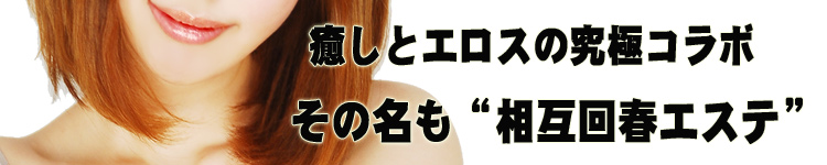 品川フォンテーヌのヘッダーイメージ