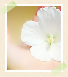 桜井のプロフィール写真