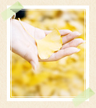 西山のプロフィール写真