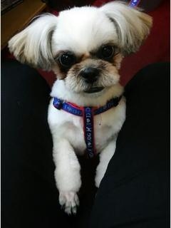 モコちゃんのプロフィール写真