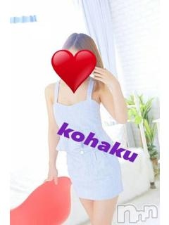 こはくのプロフィール写真