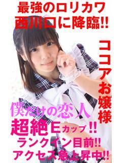 ココアのプロフィール写真