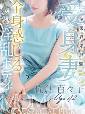 佐倉 百々子のプロフィール写真