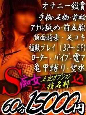 白鳥のプロフィール写真