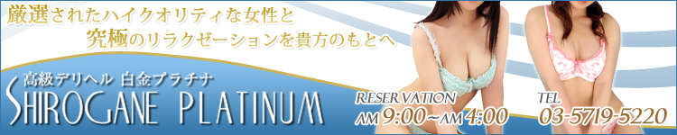 白金プラチナのヘッダーイメージ