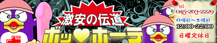 激安の伝道ボッ☆ホーテのヘッダーイメージ