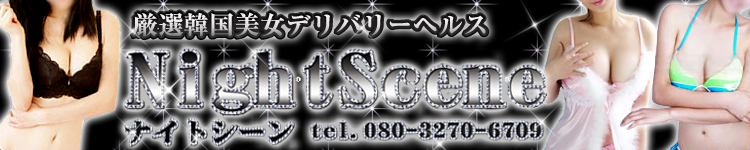 ナイトシーン豊橋店のヘッダーイメージ