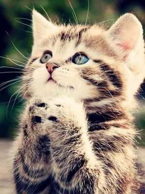 ☆スタッフブログ☆のプロフィール写真