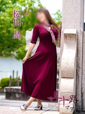 桜川晶のプロフィール写真