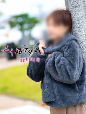 緑川晴希のプロフィール写真