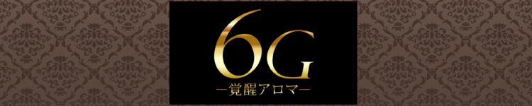 6Ｇ-覚醒アロマ-のヘッダーイメージ