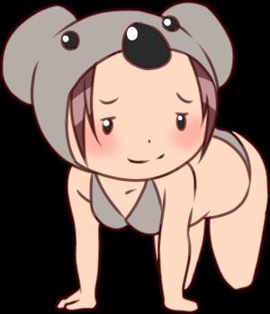 こあらのプロフィール写真