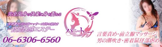 ハニートラップのヘッダーイメージ