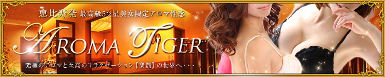 アロマタイガーのヘッダーイメージ