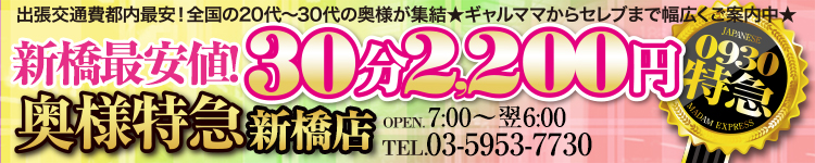 奥様特急 新橋のヘッダーイメージ