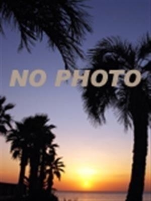 のんのプロフィール写真