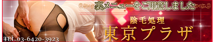 東京プラザのヘッダーイメージ