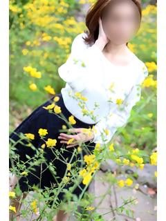 環(たまき)のプロフィール写真