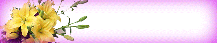 藤沢人妻城のヘッダーイメージ