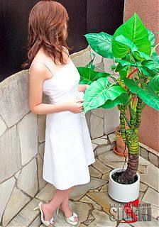 MIHOみほのプロフィール写真