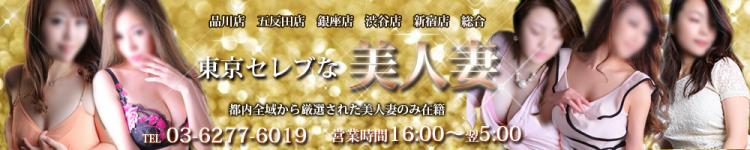 東京セレブな美人妻のヘッダーイメージ