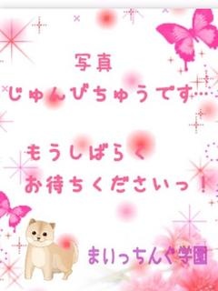 43のプロフィール写真