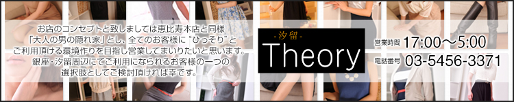 汐留セオリーのヘッダーイメージ